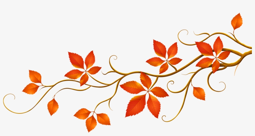 Fall Leaves Fall Autumn Free, transparent png #1494396