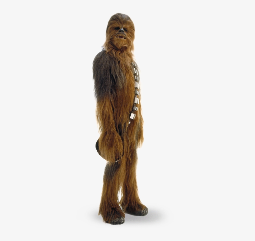 Chewie'll Be Back, Right An Aging Peter Mayhew'd Be - Chewbacca Png, transparent png #1494714