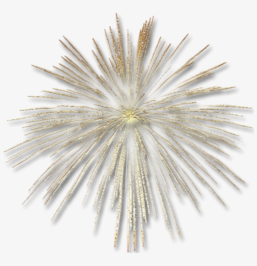 Vector Freeuse Transparent Gold Fireworks Effect Gallery - White Spider Mums, transparent png #1494740