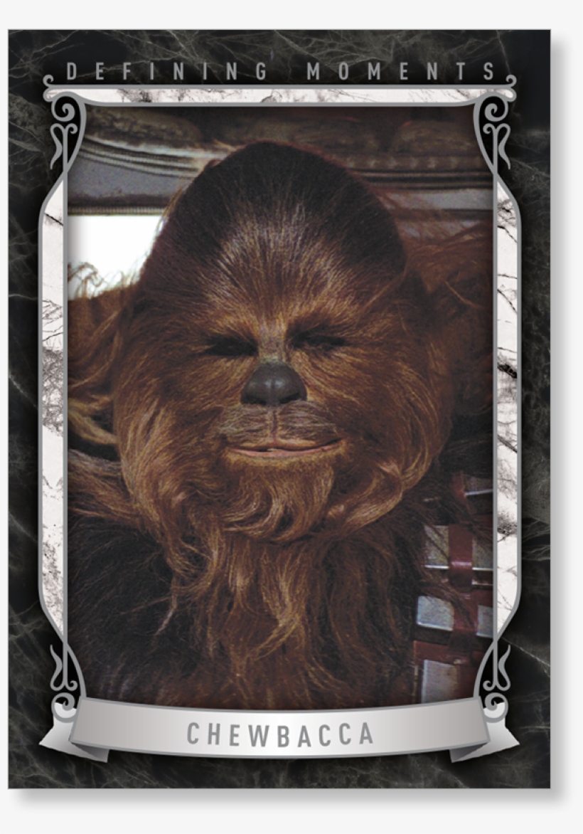 May The Fourth Be With You Chewbacca, transparent png #1495651