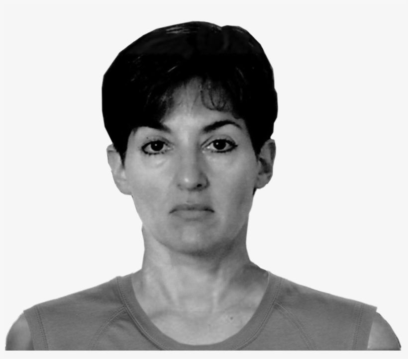 Ana Belen Montes Mashup - Ana Belén Montes, transparent png #1496076