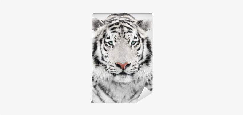 White Tiger Head Throw Blanket, transparent png #1496236
