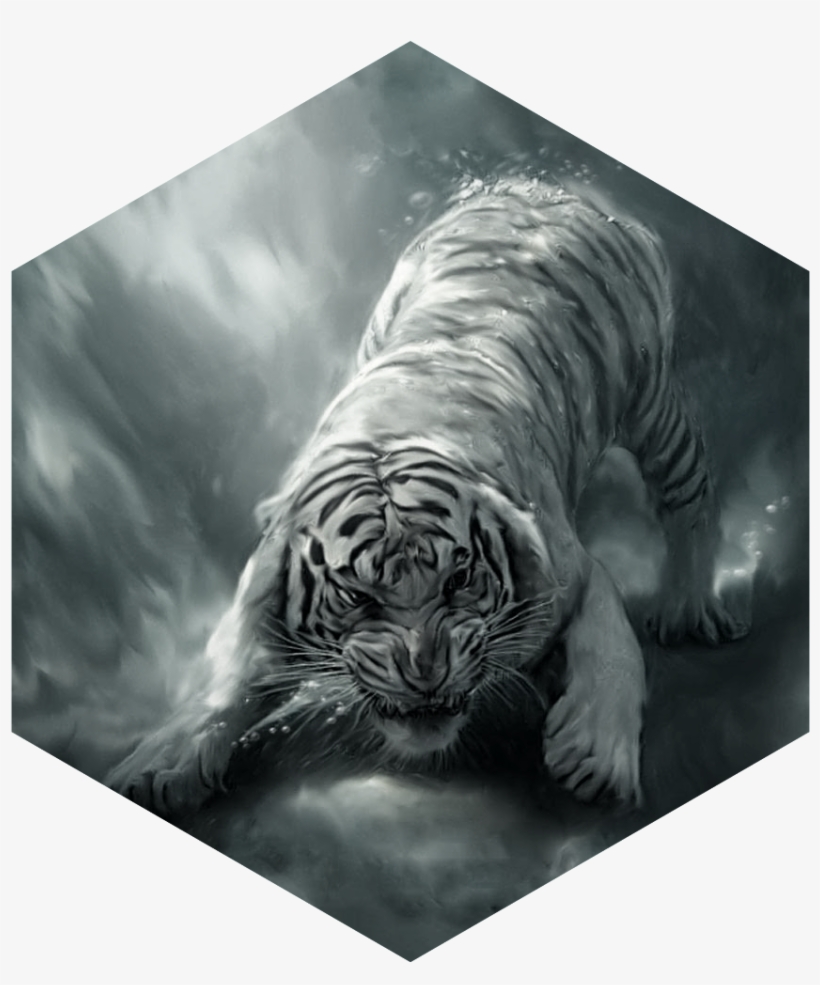 Painting White Tiger Angry - Hd Wallpaper Of Tiger - Free Transparent PNG Download - PNGkey Painting White Tiger Angry - Hd Wallpaper Of Tiger - Free Transparent PNG Download - PNGkey