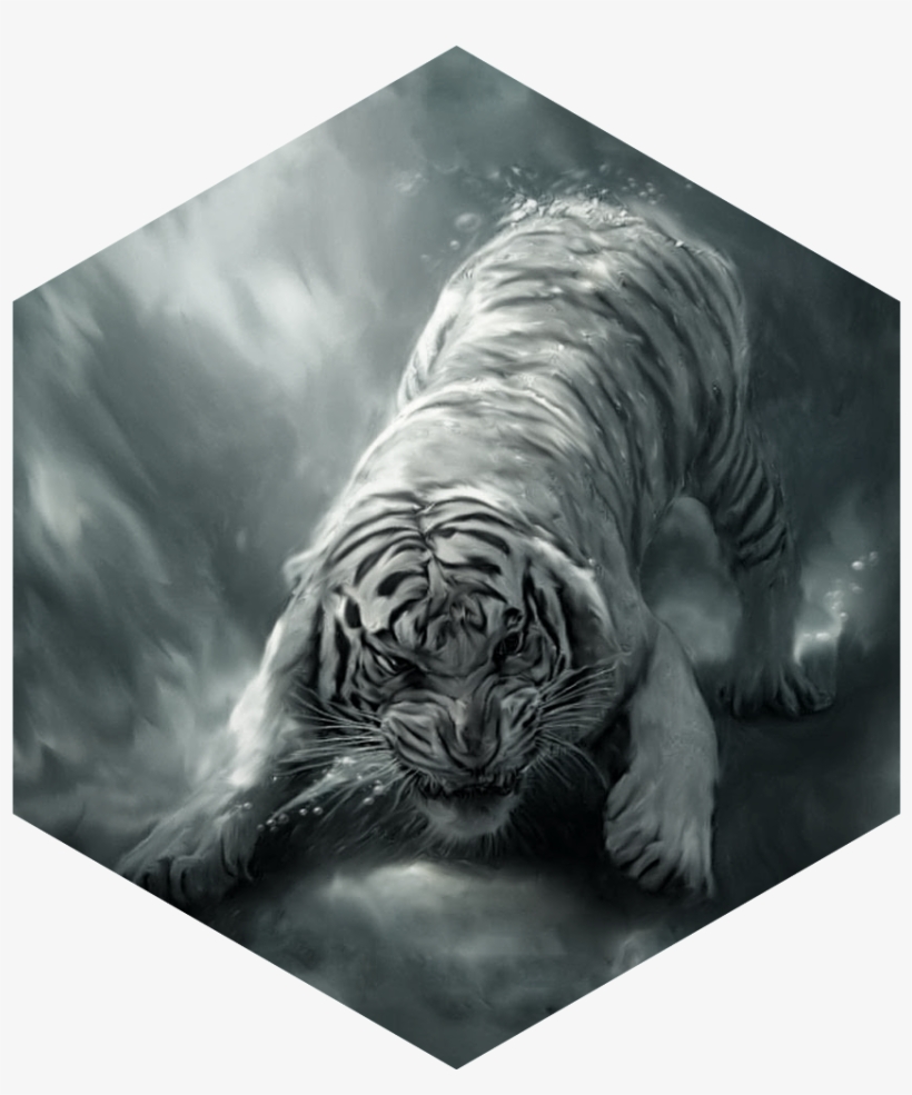 Painting White Tiger Angry - Hd Wallpaper Of Tiger, transparent png #1496308