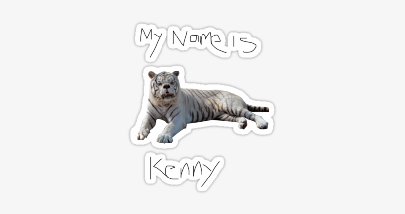 Kenny The Down Syndrome Tiger Png, transparent png #1496588