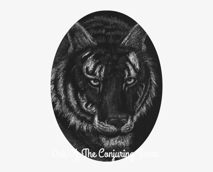 Black Tiger - Circle, transparent png #1496738