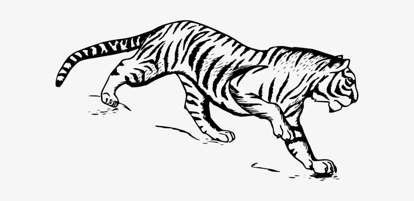 Tiger Svg Clip Arts 600 X 318 Px, transparent png #1496792
