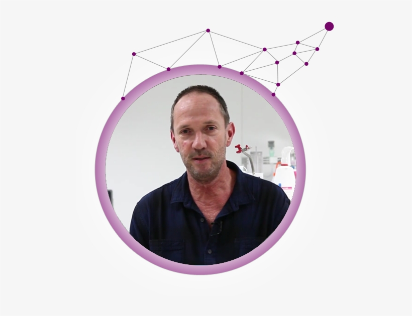 Guy Lenaers - Umbrella, transparent png #1497456