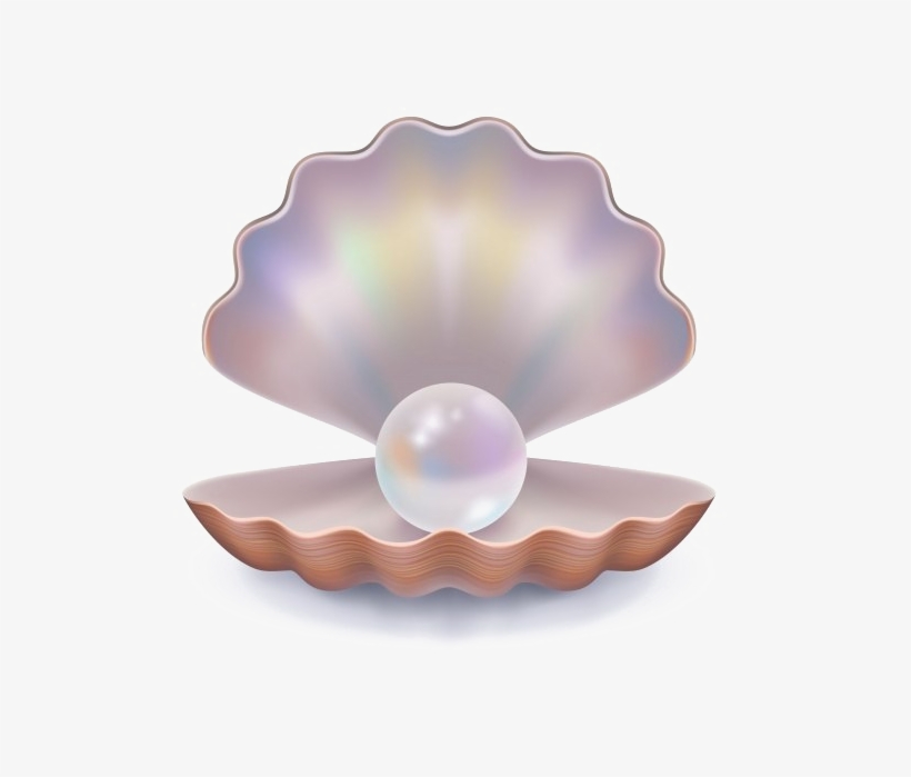 Pearl Background Png - Open Clam Shell Vector, transparent png #1497571