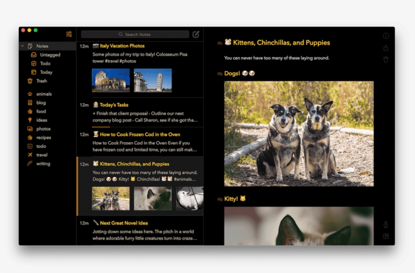 Bear 1 - 5 Hero - Bear Notes Setup, transparent png #1497597