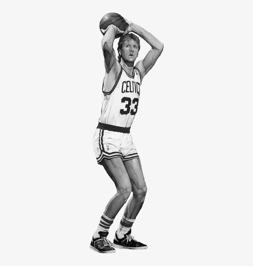 Larry Bird By Grzegorz Domaradzki - Naismith Memorial Basketball Hall Of Fame, transparent png #1497604
