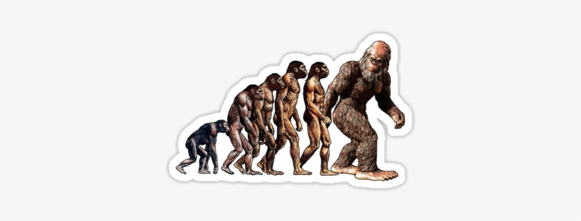 Bigfoot - Homosapien Evolution Tree Science 24x18 Print Poster, transparent png #1497934