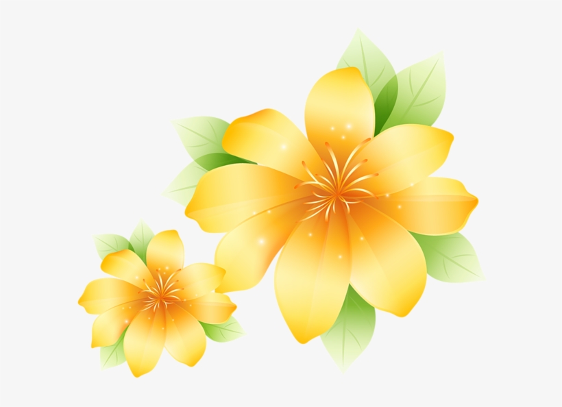 Macro Photography, transparent png #1497937