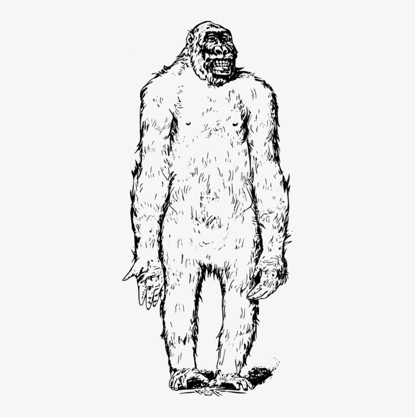 Bigfoot Ape Drawing Computer Icons Digital Image - Lustige Empathiekarte Dieses Ist Abscheulich Grußkarte, transparent png #1498027