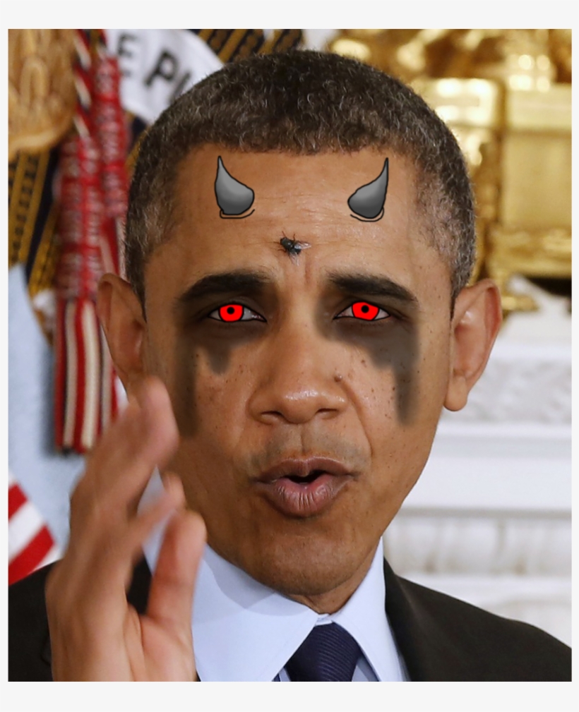 Now His "evidence" - ハエ 顔, transparent png #1498029