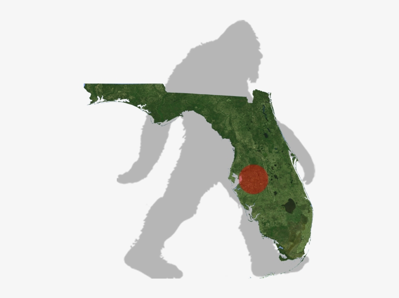 Florida Myakka Bigfoot Map - Black Florida Clip Art, transparent png #1498033