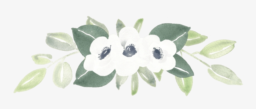Cropped Anemone Greenery - Bengal Clockvine, transparent png #1498085