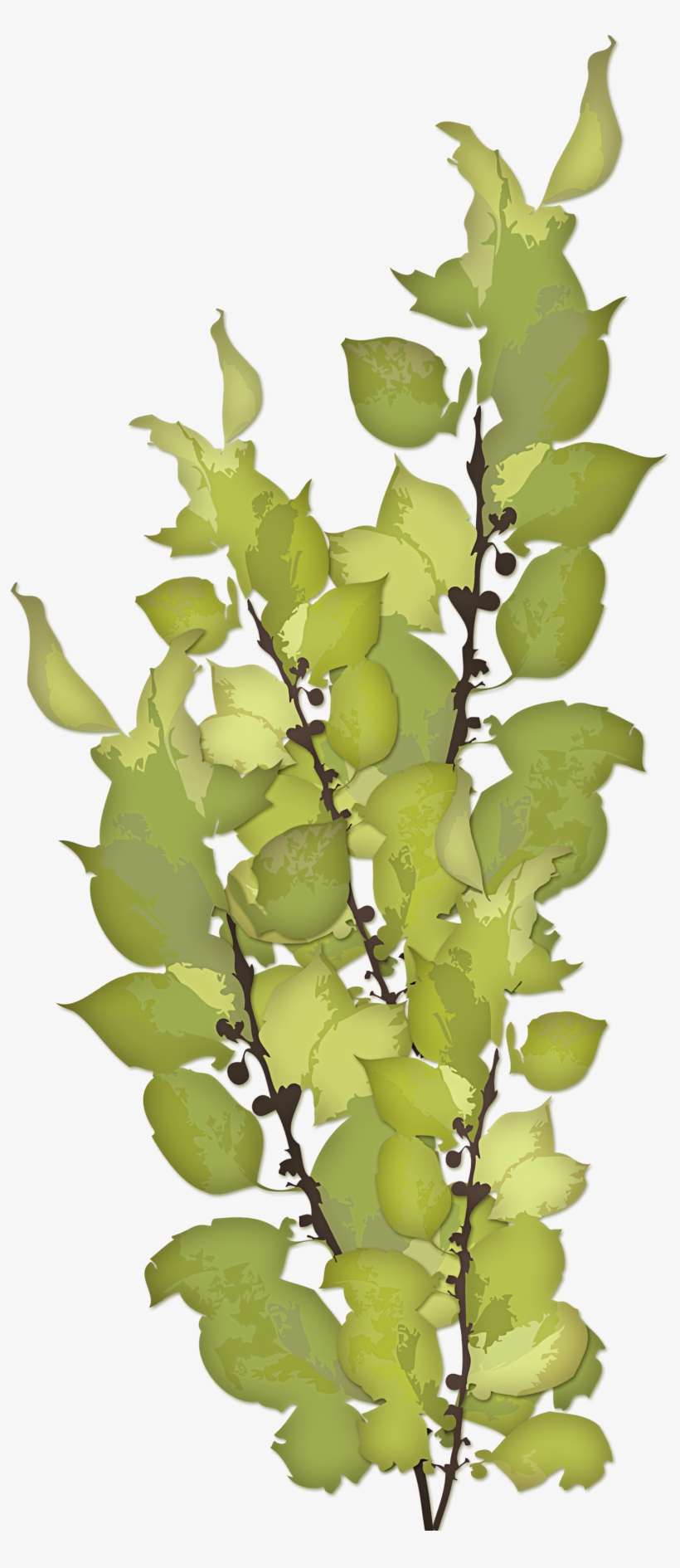 Greenery - Mother Of Sorrows Feast Day, transparent png #1498140