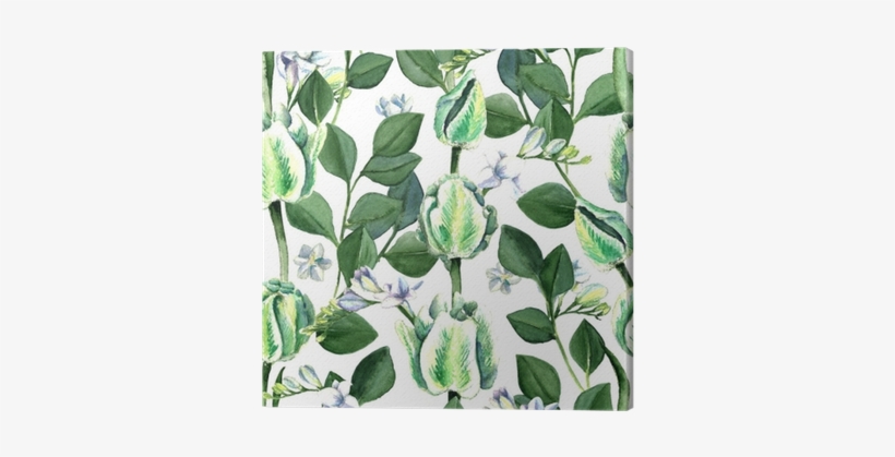 Watercolor Hand Drawn White And Green Parrot Tulips, - Tulip, transparent png #1498217
