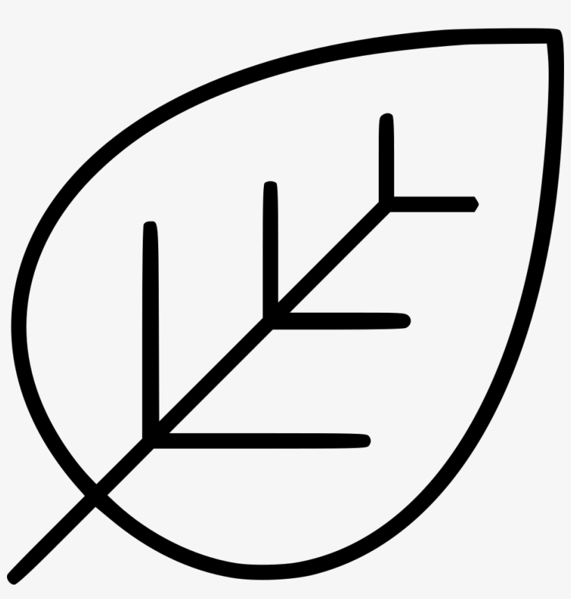 Ecology Environment Green Greenery Leaf Nature Plant - Faculdade Senai Paraíba, transparent png #1498285