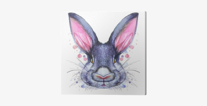 Painted Drawing With Watercolor Portrait Of An Animal - Królik Malowany, transparent png #1498538