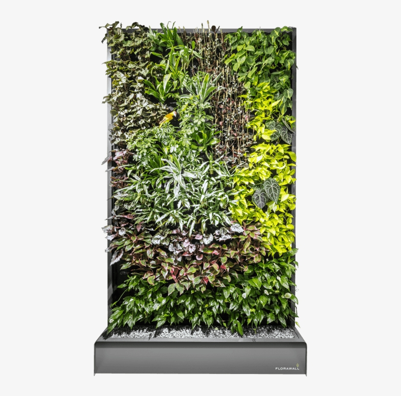 This Is The Way It Works - Transparent Green Wall Png, transparent png #1498690