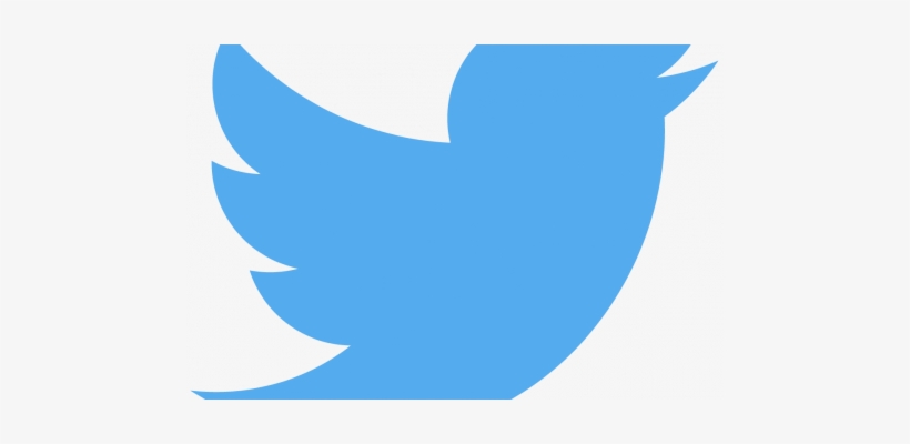 Twitter Ceo On The Right Way To Build An Edit Button - Twitter Logo Vector Grey, transparent png #1498692