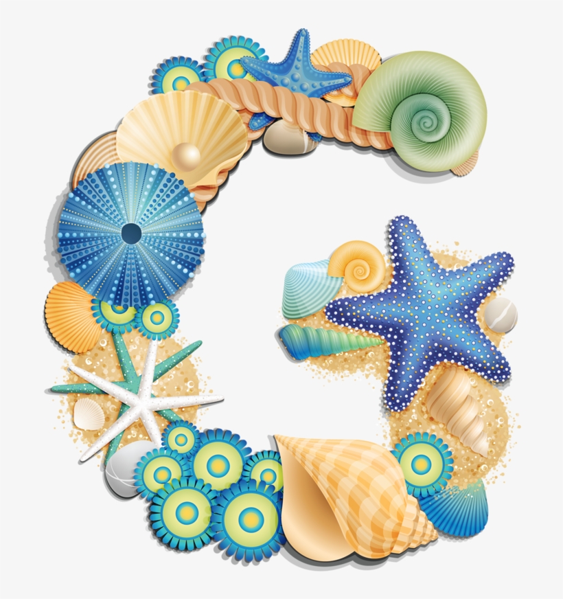 Clip Art Freeuse Stock Beach Shells Pinterest Shell - Beach Letter G, transparent png #150516