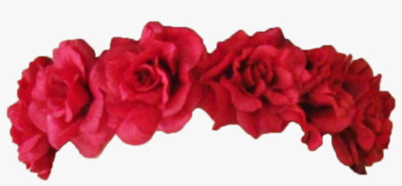 Flower Crown Transparent Overlay - Red Flower Crown Png, transparent png #150642