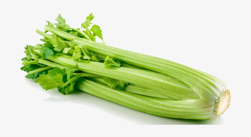 Free Png Photos Peoplepng - Celery Stock, transparent png #150747