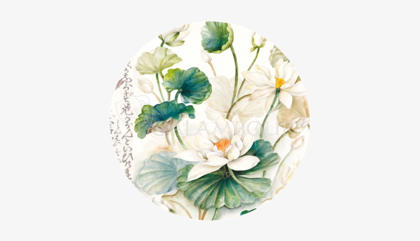 20 Gr - - Porcelain, transparent png #151402