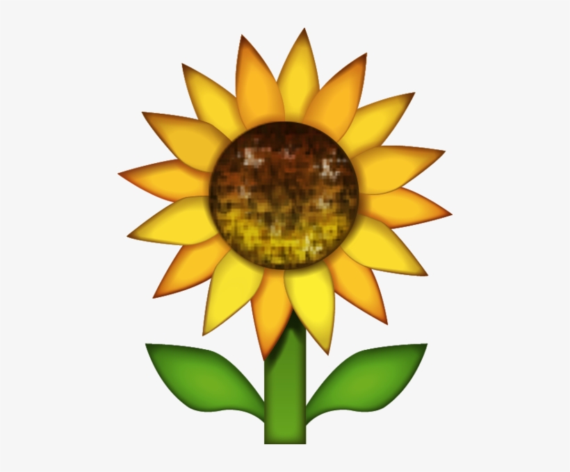Download Sunflower Emoji Image In Png - Sunflower Emoji Png, transparent png #151476