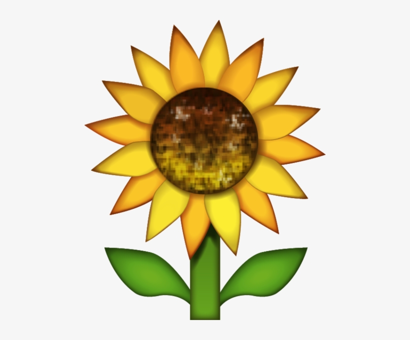 Download Sunflower Emoji Image In Png - Sunflower Emoji Png, transparent png #151476