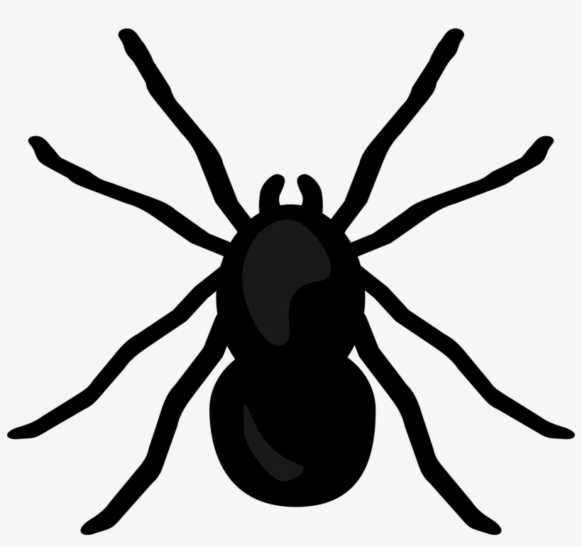 Ant Spider - Spider Clipart No Background, transparent png #151653