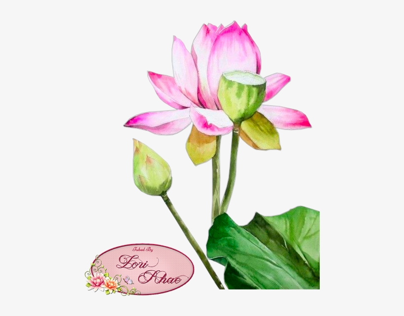 Bookmark Our Page, Follow Us On Google, And Come Back - Watercolor Painting, transparent png #151749