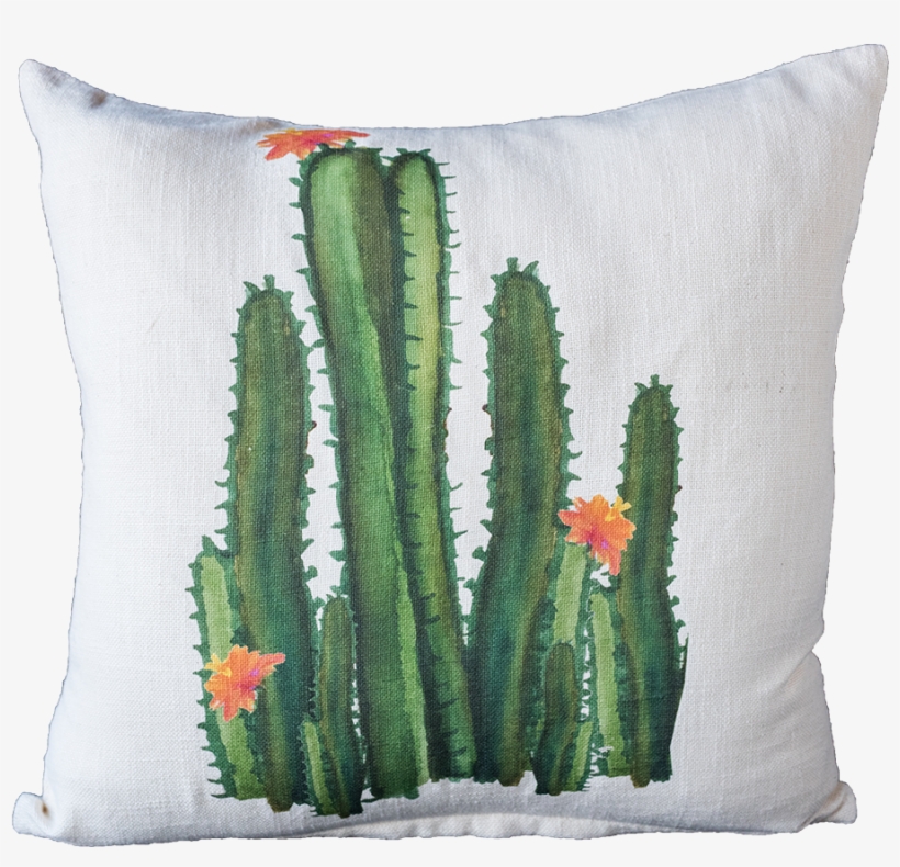 Watercolor Tall Cacti - Watercolor Painting, transparent png #151800