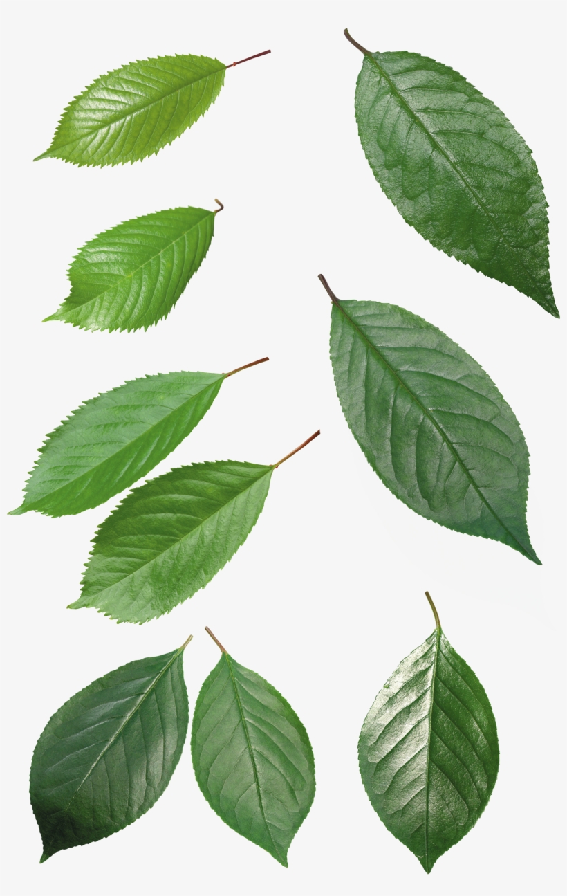 Explore These Ideas And More, transparent png #151892