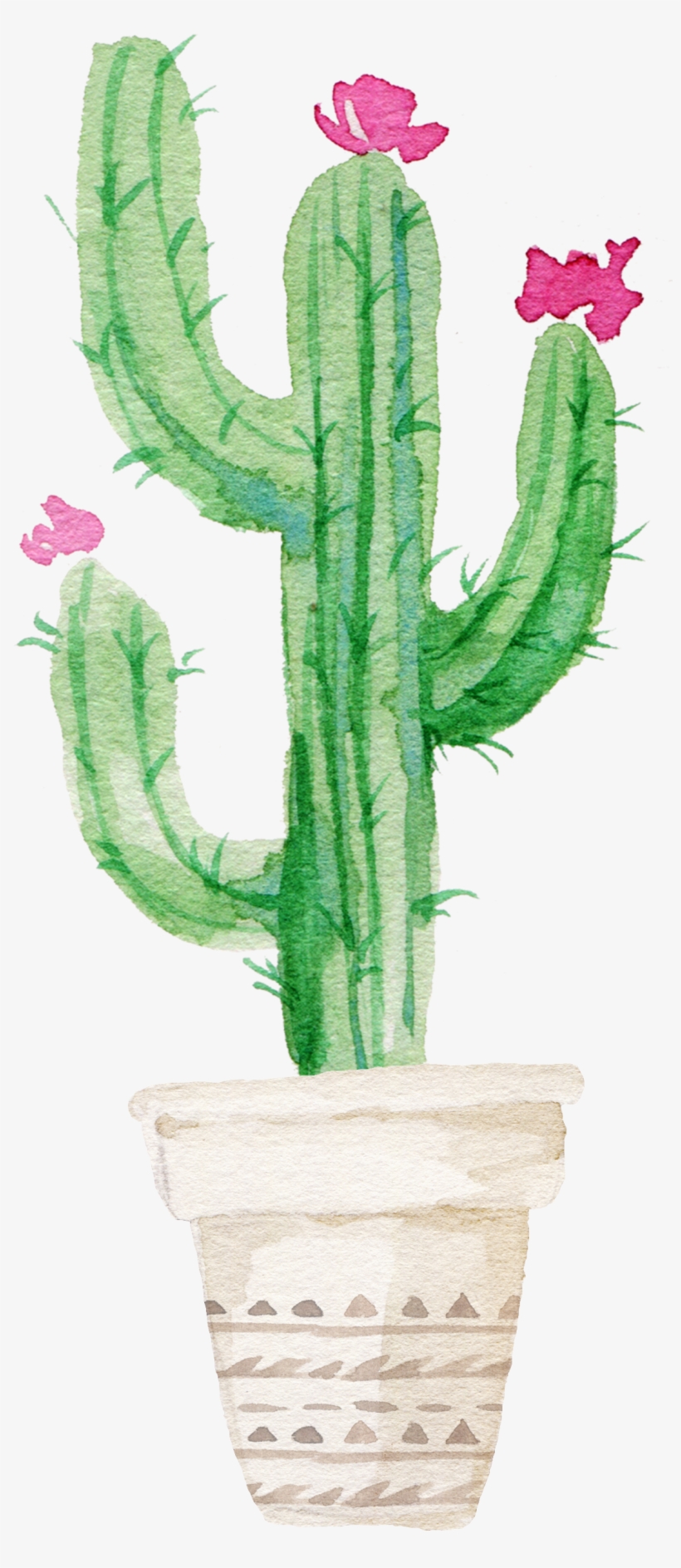 Succulent Plant Watercolor Painting - Watercolor Cactus, transparent png #151894