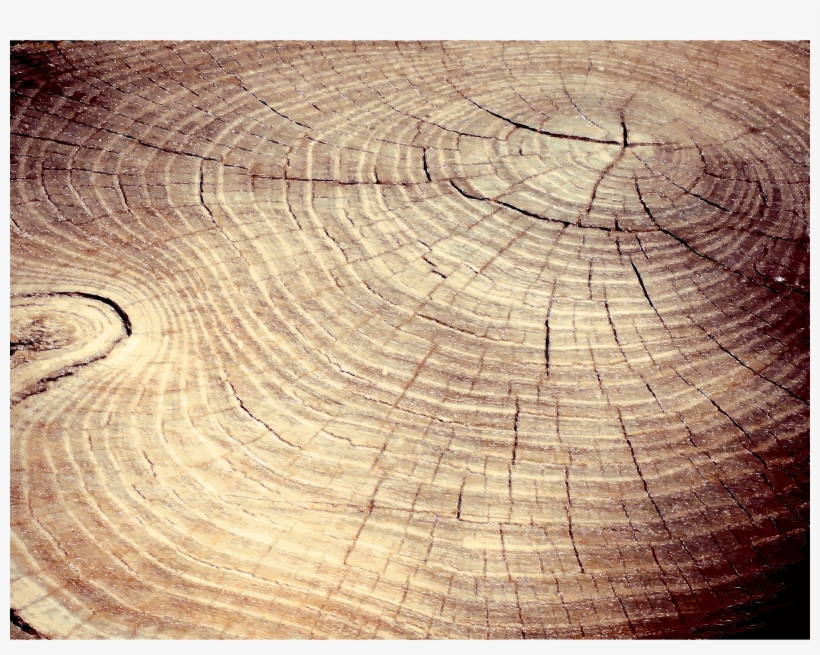 This Free Icons Png Design Of Tree Stump Cracks, transparent png #152222
