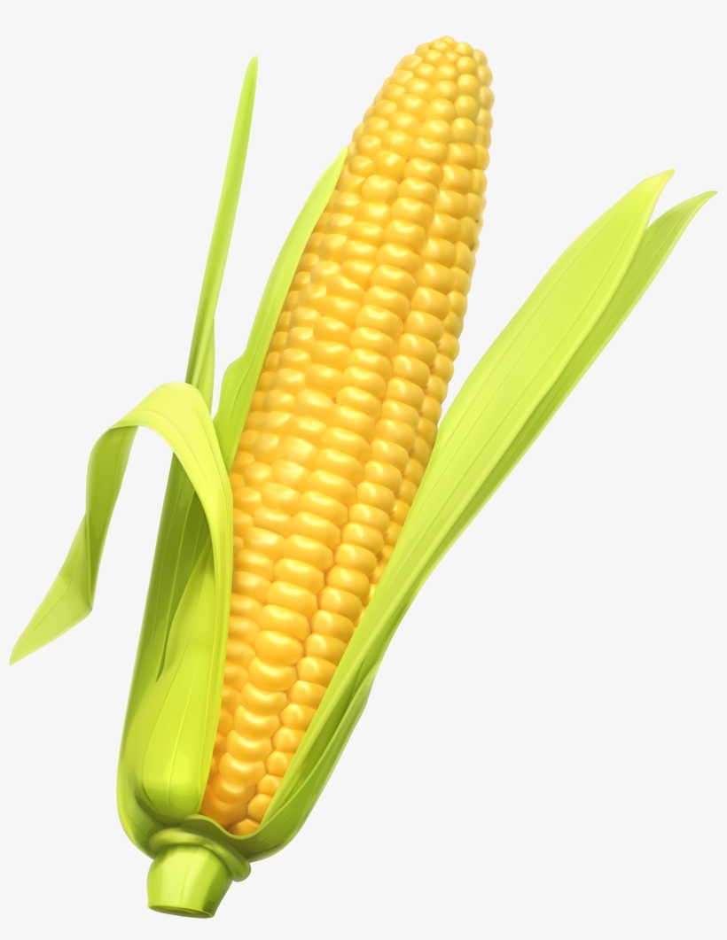 Corn Wallpapers) Free Backgrounds And Wallpapers - Corn Png, transparent png #152313
