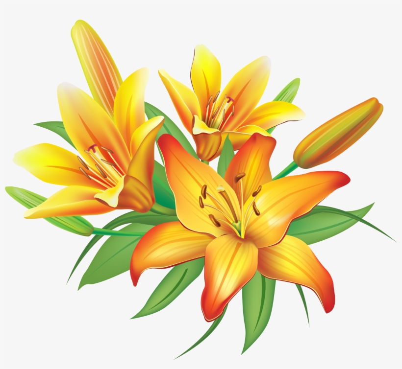 Yellow Flower Clipart Png Format - Clipart Of Lily Flower, transparent png #152336