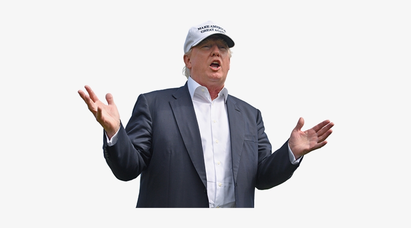 Share This Image - Donald Trump Transparent Background, transparent png #152742