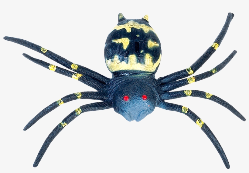 Free Png Spider Png Images Transparent - Southern Black Widow, transparent png #152828