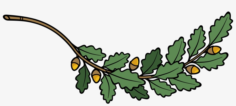 This Free Icons Png Design Of Oak Branch 4, transparent png #153202