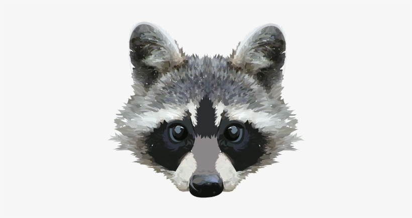 Raccoon Face Png, transparent png #154253