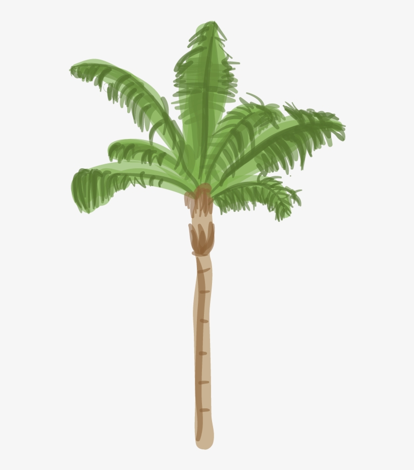 Canary Island Date Palm - Palm Tree Base Png, transparent png #154360