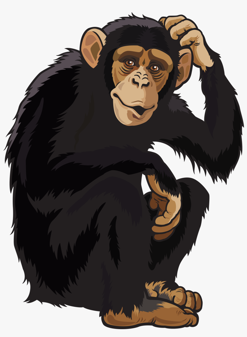 Monkey Png Images - Wild Animals Clipart Png, transparent png #154381