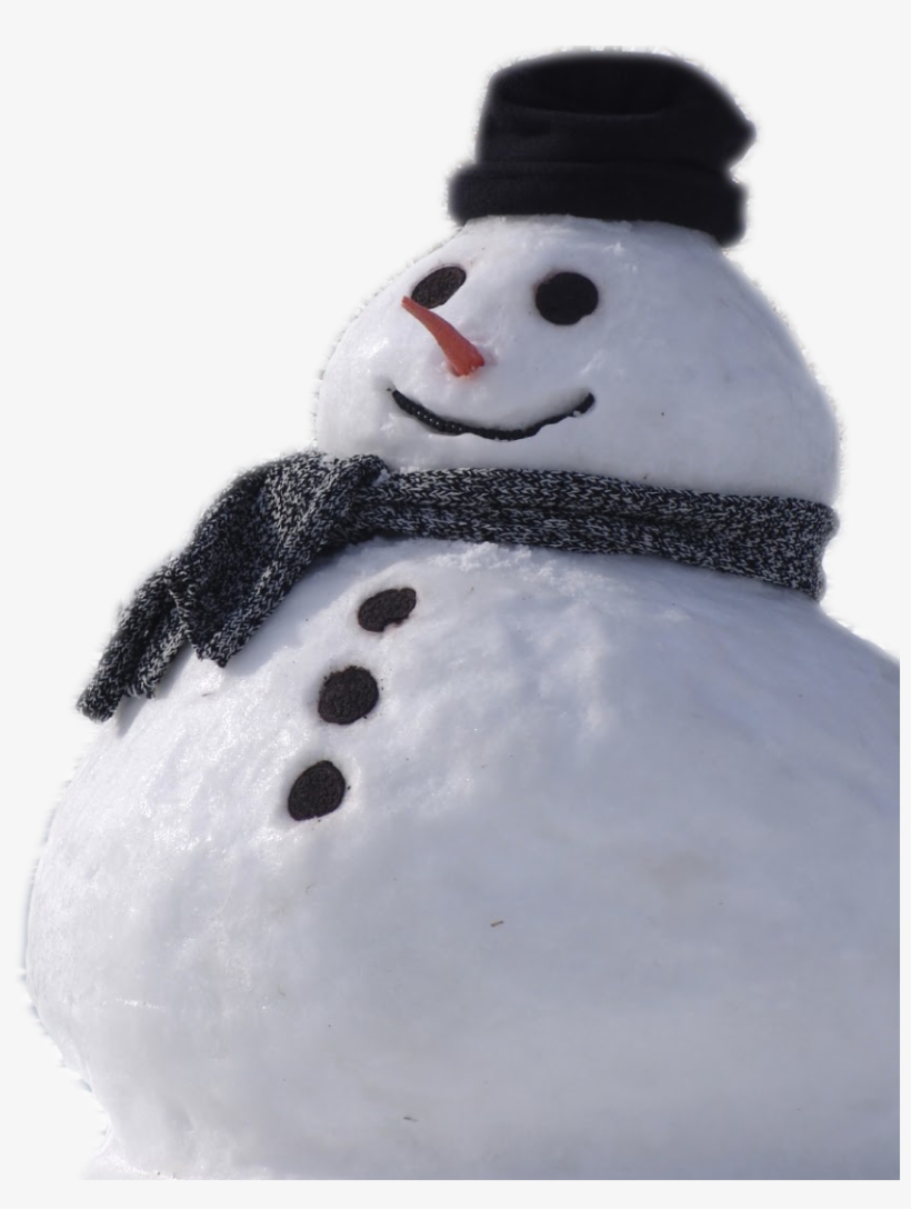 Real Snowman Png - Fun Things To Do In The Snwo, transparent png #154566