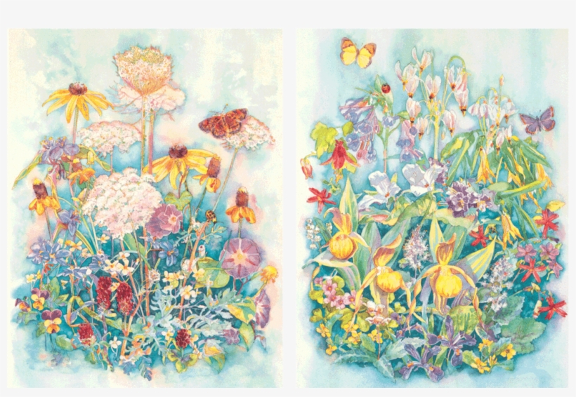 Wildflowers I & Ii - Watercolor Painting, transparent png #154761