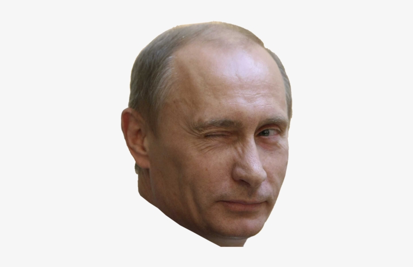 Vladimir Putin Png - Vladimir Putin Black And White, transparent png #154905